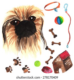 Veterinary kit comprising Pekingese and accessories for dogs, watercolor, painted by hand