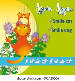 Veterinary logos on a green background. Plant peppermint. Claws. Sharpening claws.