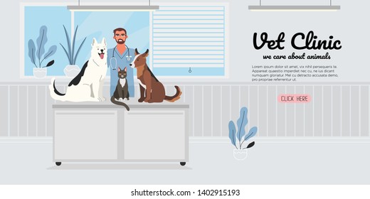 A Veterinary Male Doctor With A Cat And Two Dogs In A Veterinary Office. Healthy And Happy Pets. Creative Banner, Flyer, Landing Page Or A Blog Post For A Vet Clinic, Veterinary Office Or Hospital. 