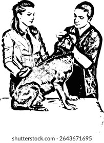 Veterinary male doctor examine dog and owner holding her dog isolated on white background