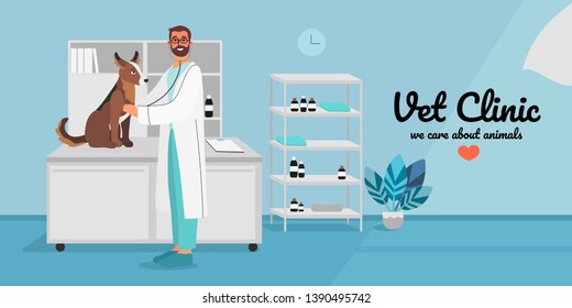 A Veterinary Male Doctor Examining A Dog Or A Puppy With A 	Stethoscope. Creative Banner, Flyer, Landing Page Or A Blog Post For A Vet Clinic, Veterinary Office Or Hospital. 