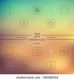veterinary modern icons for mobile interface on blurred background