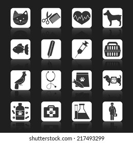 Veterinary pet health care medical icons set black isolated vector illustration