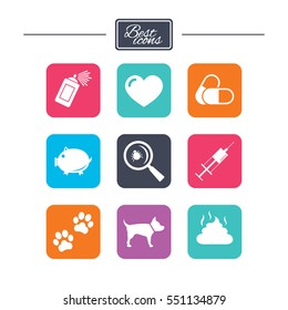 Veterinary, pets icons. Dog paws, syringe and magnifier signs. Pills, heart and feces symbols. Colorful flat square buttons with icons. Vector