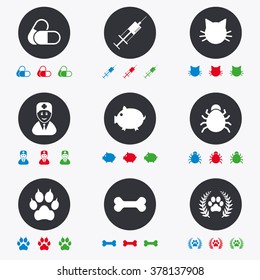 Veterinary, pets icons. Paw, syringe and bone signs. Pills, cat and doctor symbols. Flat circle buttons with icons.