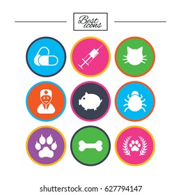 Veterinary, pets icons. Paw, syringe and bone signs. Pills, cat and doctor symbols. Classic simple flat icons. Vector