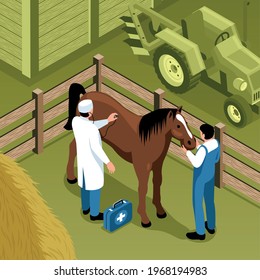 Veterinary ranch visit isometric composition farm vet examines standing in pen horse tractor on background vector illustration