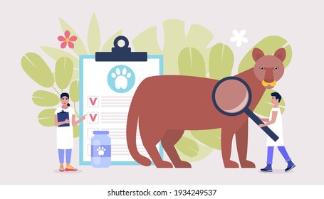 Veterinary science concept. Vets check puma. Colorful flat vector illustration