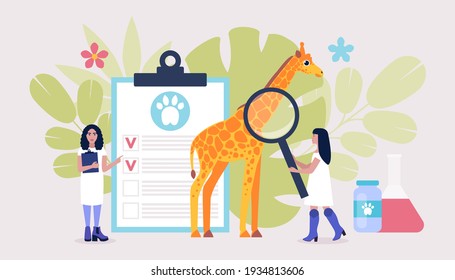 Concepto de ciencia veterinaria. Los veterinarios revisan la jirafa. Ilustración de vector plana colorida