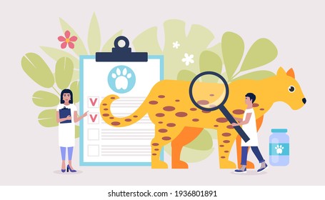 Veterinary science concept. Vets check Jaguar. Colorful flat vector illustration