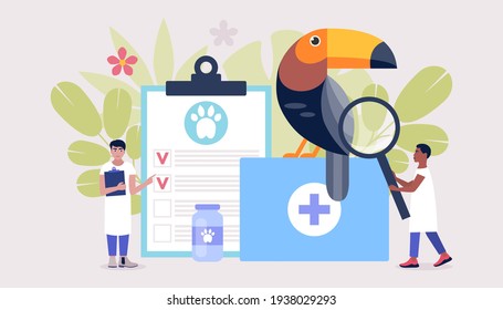 Veterinary science concept. Vets check Toucan. Colorful flat vector illustration