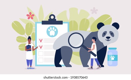 Konzept der Veterinärwissenschaften. Tierärzte überprüfen Panda. Farbige flache Vektorgrafik