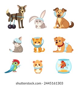 veterinary sick animals. cartoon cute animal characters collection, veterinarian treatment handicapped rehabilitation animals. vector cartoon characters collection.