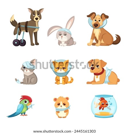 veterinary sick animals. cartoon cute animal characters collection, veterinarian treatment handicapped rehabilitation animals. vector cartoon characters collection.