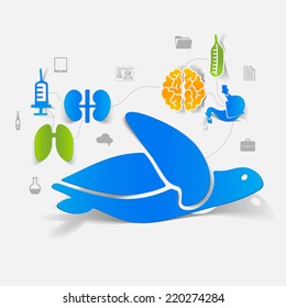 Veterinary sticker infographic