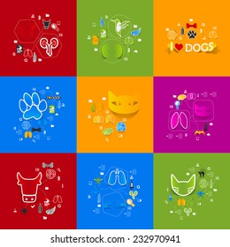 Veterinary sticker infographic