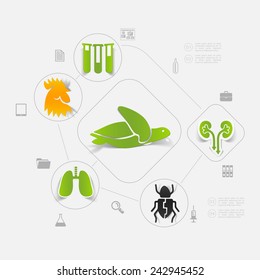 veterinary sticker infographic
