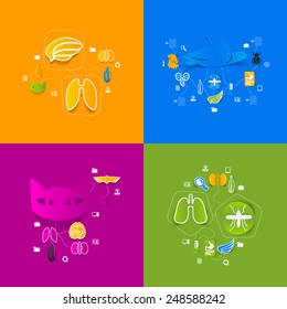 Veterinary sticker infographic
