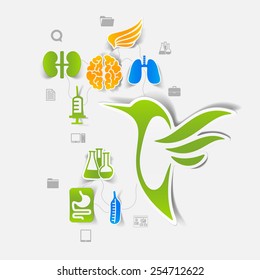Veterinary sticker infographic