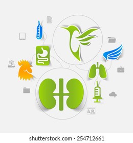 Veterinary sticker infographic