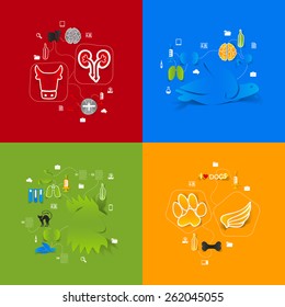 Veterinary sticker infographic