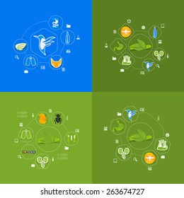 veterinary sticker infographic