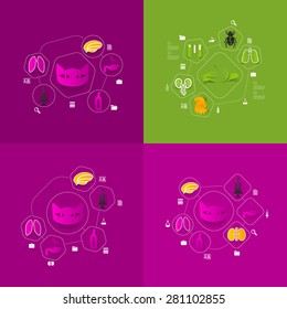 veterinary sticker infographic
