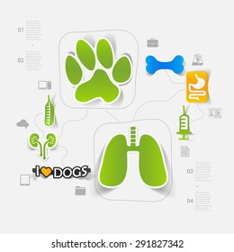 Veterinary sticker infographic