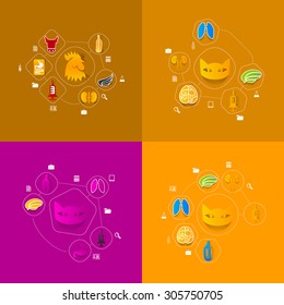 veterinary sticker infographic
