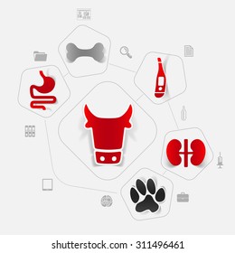 veterinary sticker infographic