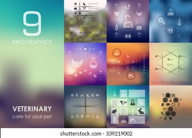 veterinary vector infographics with unfocused blurred background