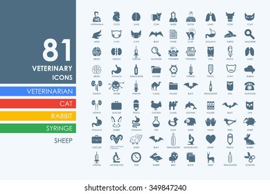 veterinary vector set of modern simple icons