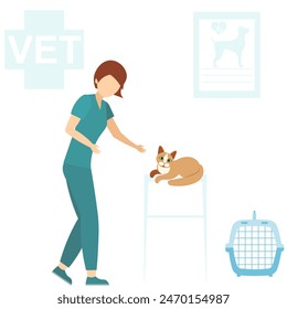 Veterinary. A veterinarian examines a cute cat. Medical checkup for domestic animal. Diagnostic for pets. Veterinary clinic illustration. 