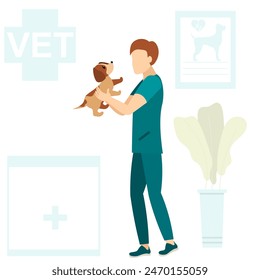 Veterinary. The veterinarian holds a small puppy in his hands. Medical checkup for domestic animal. Diagnostic for pets. Veterinary clinic illustration.
