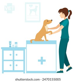 Veterinary. A veterinarian hugs a dog in his office. Medical checkup for domestic animal. Diagnostic for pets. Veterinary clinic illustration.