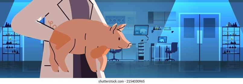 veterinary worker hands in gloves holding experimental pig scientist doing experiments in lab with biological genetic engineering research