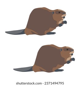 Vetor beaver on white background isolated flat with shadows