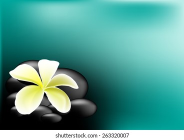 Vetor flower for background and text