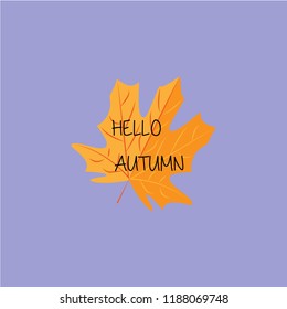 Vetor illustration. Hello autumn phrase on maple leaf on violet or blue background.