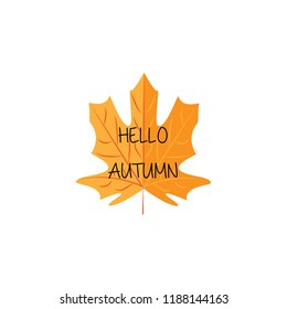 Vetor illustration. Hello autumn phrase on maple leaf isolated on white background.