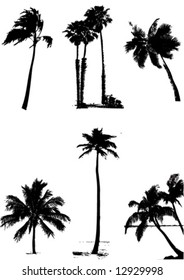 vetor palm-tree