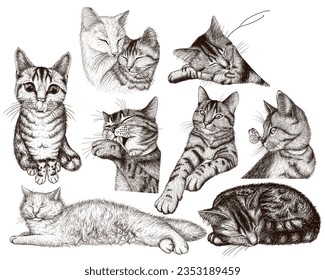 Vetor set of 9 different cats in the style of engraving