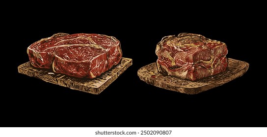 Vetor set of two pieces of grilled meat. BBQ illustration.