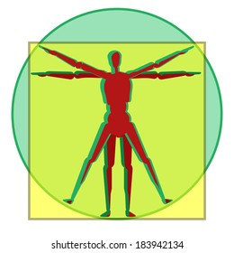 vetruvian human anatomy men study leonardo da Vinci