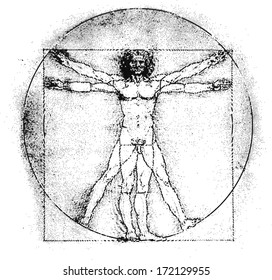 Vetruvian man, human anatomy study by Leonardo da Vinci, line graphic, vector illustration