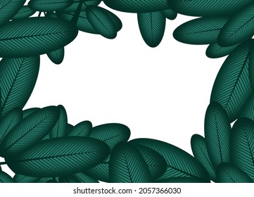 Vevtor of dark leaf pattern on a white background. There is a white space for inserting text.