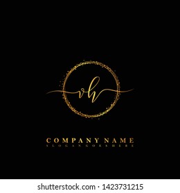 VH Initial luxury handwriting logo vector