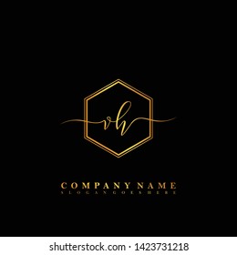 VH Initial luxury handwriting logo vector
