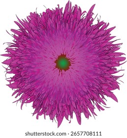 A vibrant abstract flower illustration with deep pink and magenta petals, digitally created in vector format. This modern floral design is ideal for use in prints, backgrounds, textile designs, and 
