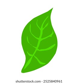 A vibrant, abstract leaf illustration with bold green shades, featuring intricate curves and a modern, artistic style.